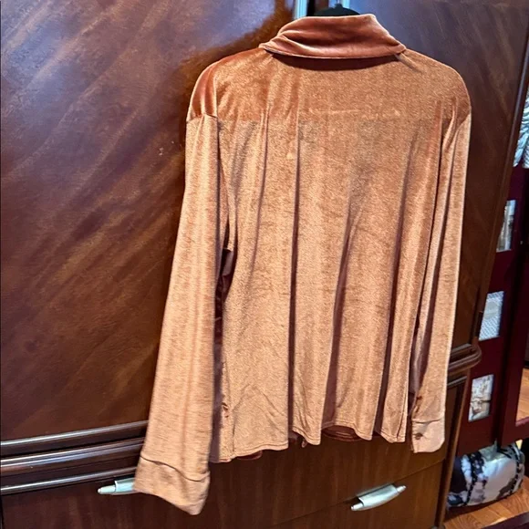 Velvet Button Down Shirt in Rust - Picture 4 of 4